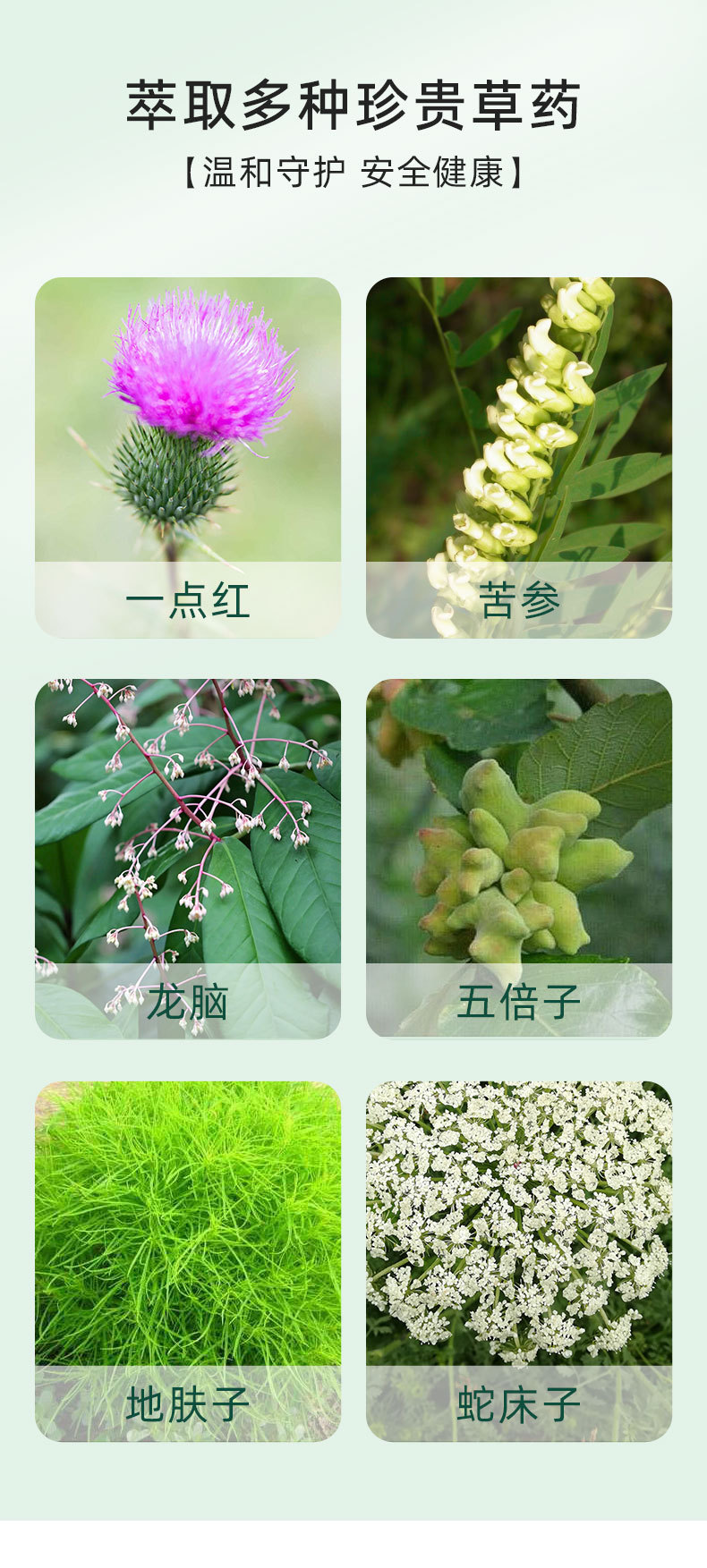 脱敏膏草本萃取